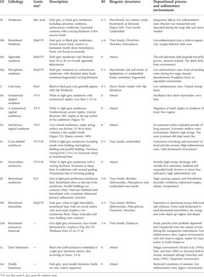 Transitional shale quality and exploration potential: A case study from the Lower Carboniferous Jiusi Formation in northwest Weining, China